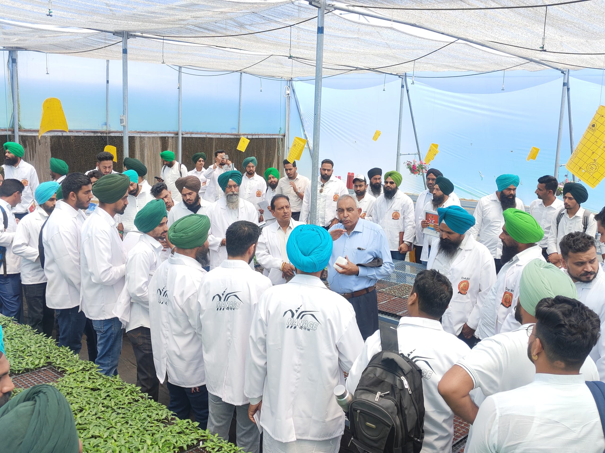 WhatsApp Image 2024-08-05 at 11.20.42 AM (1)